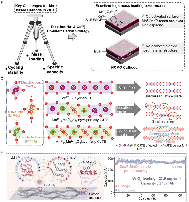image file: d5eb00159e-f3.tif