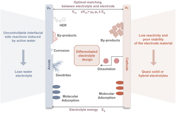 image file: d5eb00159e-f5.tif