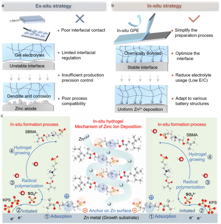 image file: d5eb00159e-f7.tif