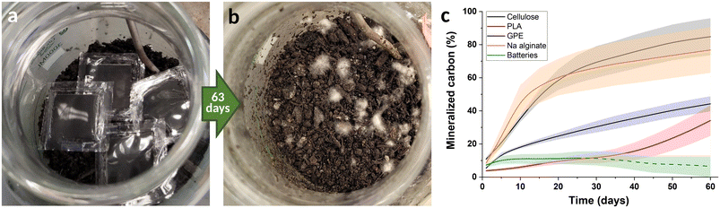 image file: d5eb00164a-f6.tif