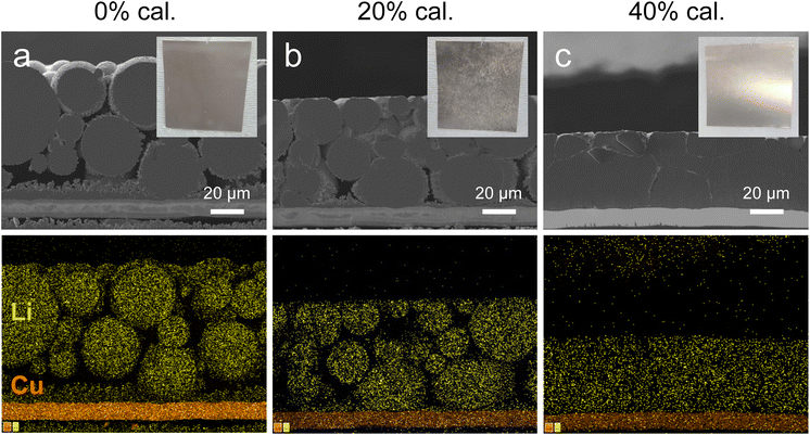 image file: d5eb00195a-f2.tif