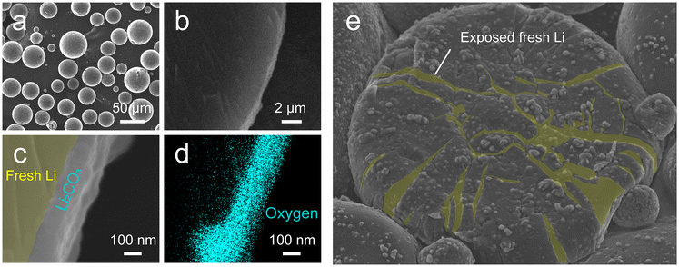 image file: d5eb00195a-f3.tif