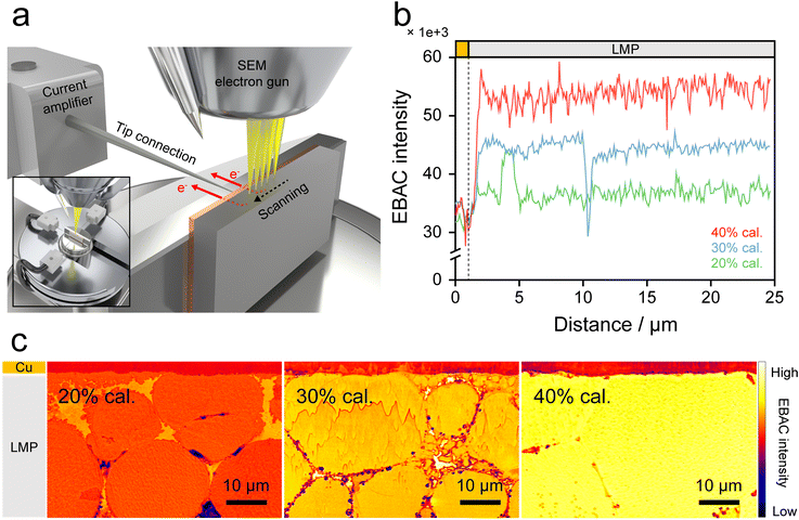 image file: d5eb00195a-f5.tif