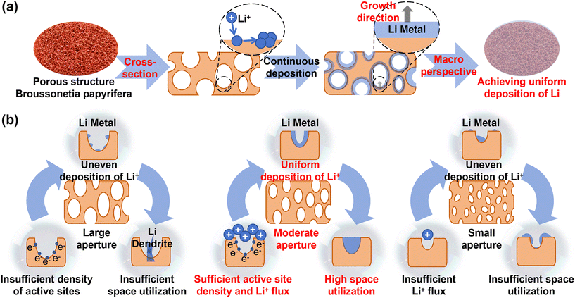 image file: d5eb00198f-f7.tif