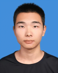 image file: d5eb00198f-p1.tif