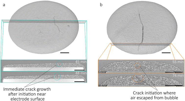 image file: d5eb00201j-f3.tif