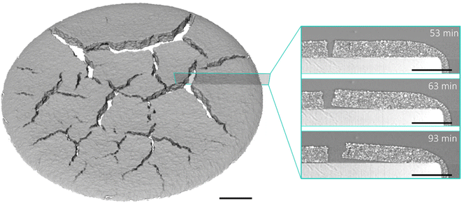 image file: d5eb00201j-f5.tif