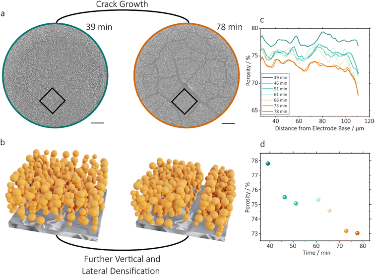 image file: d5eb00201j-f6.tif