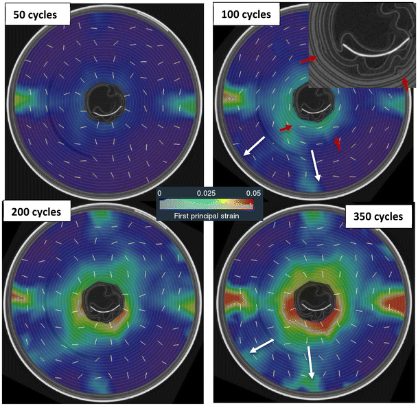 image file: d5eb00229j-f10.tif