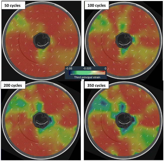 image file: d5eb00229j-f11.tif