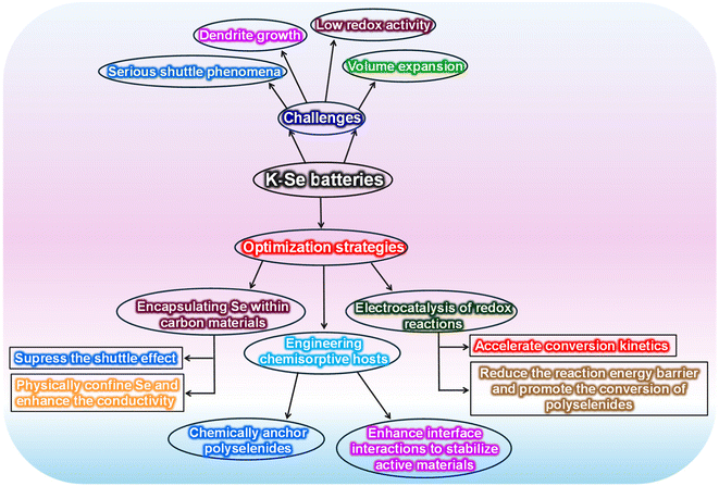 image file: d5eb00237k-f2.tif