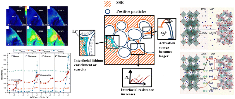 image file: d5eb00244c-f3.tif