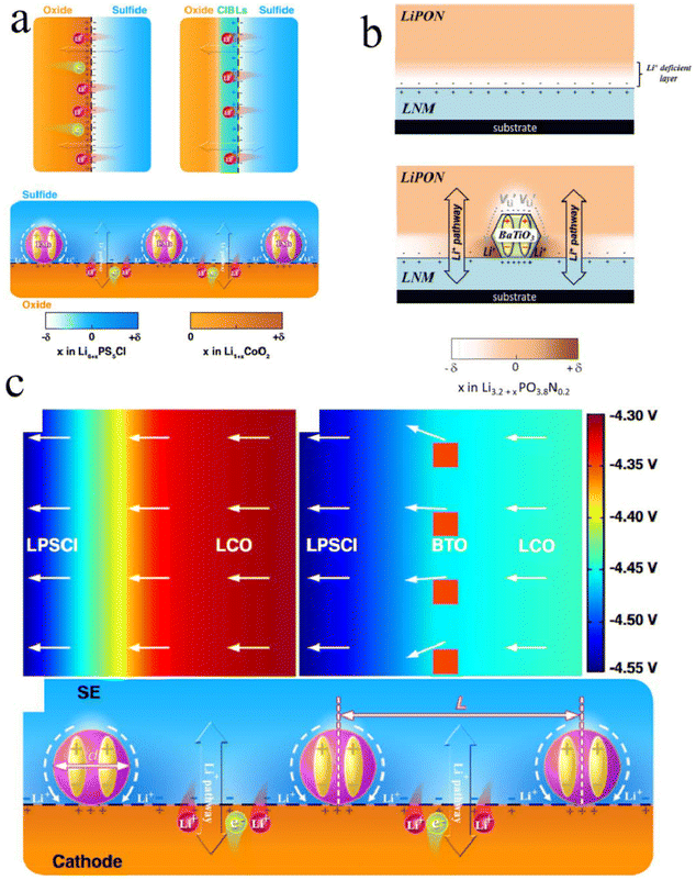 image file: d5eb00244c-f7.tif