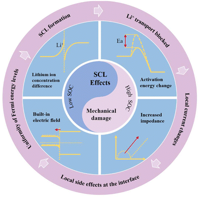 image file: d5eb00244c-f8.tif