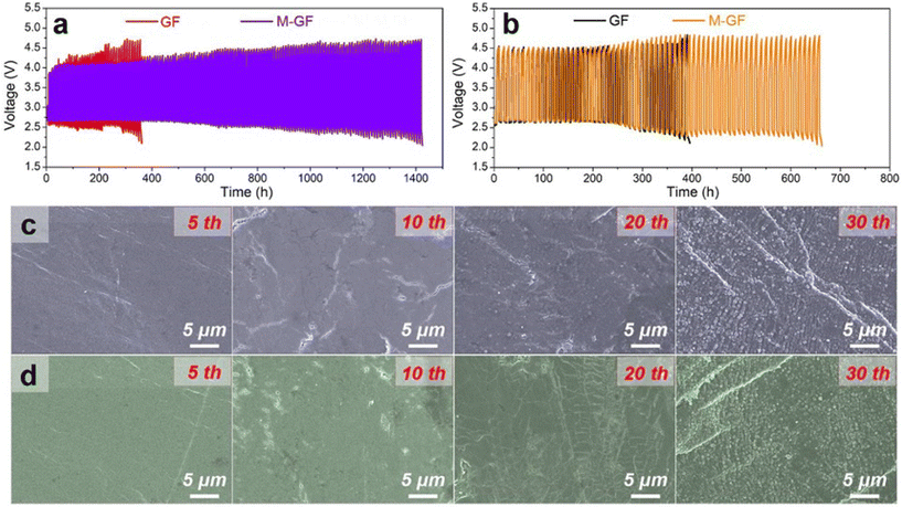 image file: d6eb00006a-f10.tif