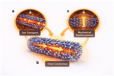 image file: d6eb00016a-f2.tif