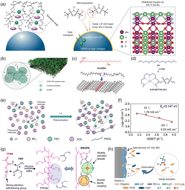 image file: d6eb00030d-f7.tif