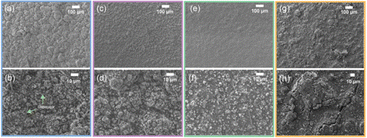 image file: d6eb00032k-f7.tif