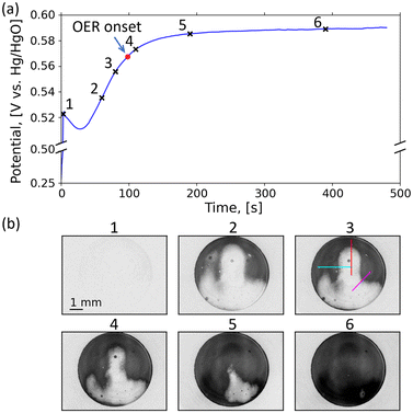 image file: d6eb00045b-f2.tif