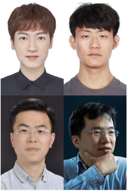 image file: d6eb90006b-u2.tif