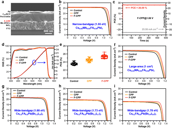 image file: d5ee02610e-f5.tif
