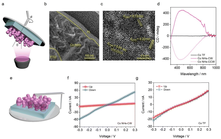 image file: d5ee04313a-f1.tif