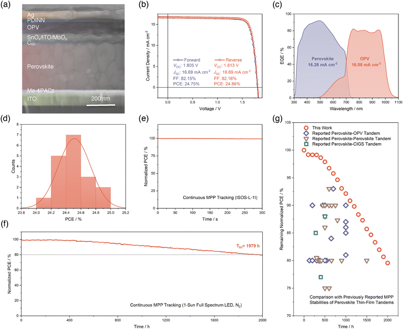 image file: d5ee04477d-f4.tif