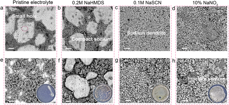 image file: d5ee04804d-f4.tif