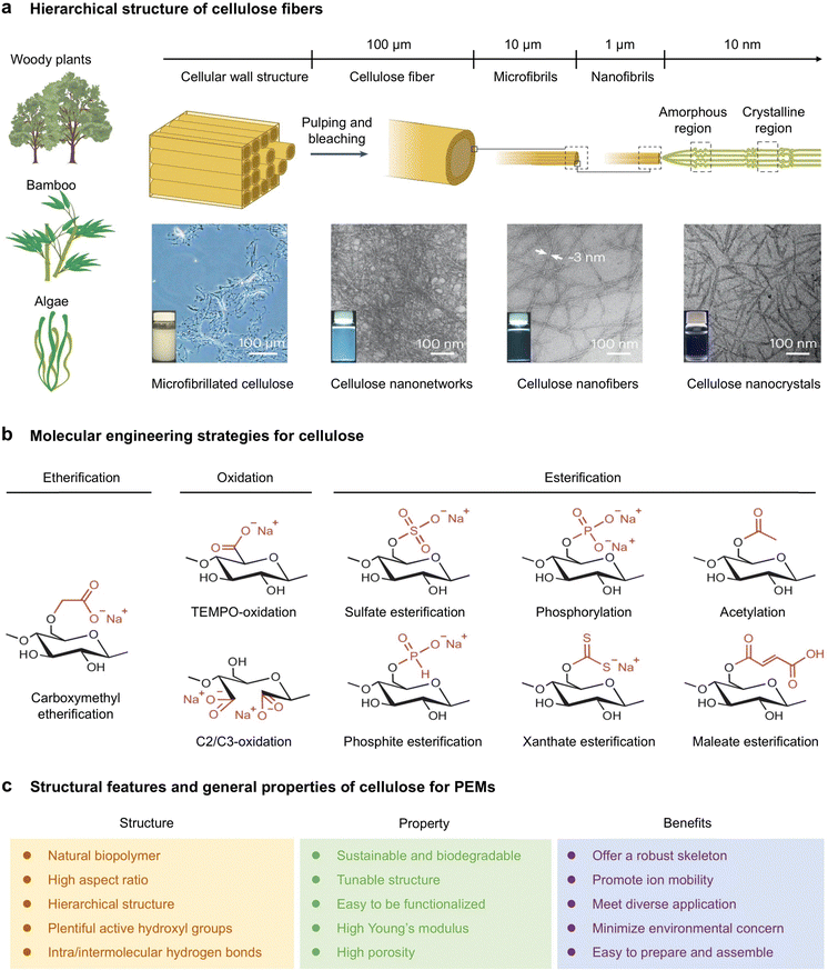image file: d5ee05398f-f3.tif