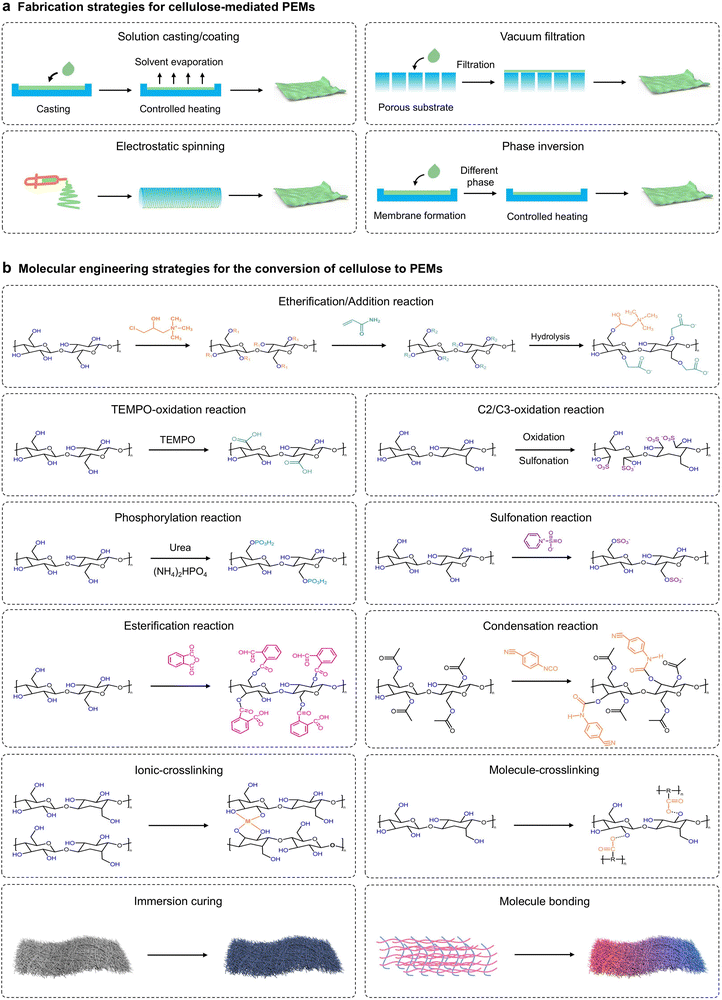 image file: d5ee05398f-f4.tif