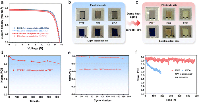 image file: d5ee07173a-f6.tif