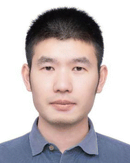 image file: d6el90005d-u4.tif