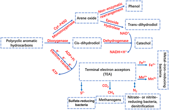 image file: d5em00440c-f2.tif