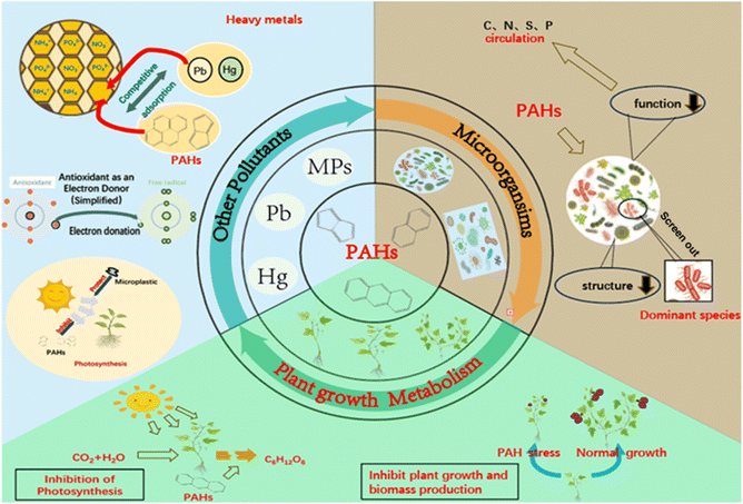 image file: d5em00440c-f3.tif