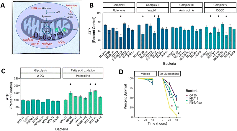 image file: d5em00624d-f2.tif