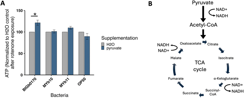image file: d5em00624d-f7.tif