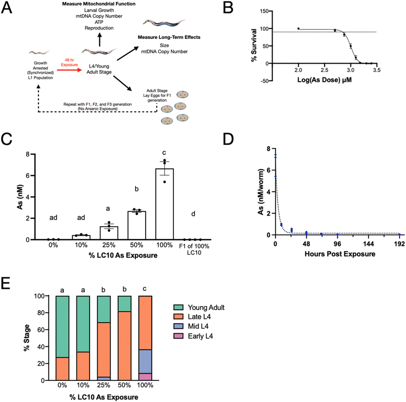 image file: d5em00655d-f1.tif