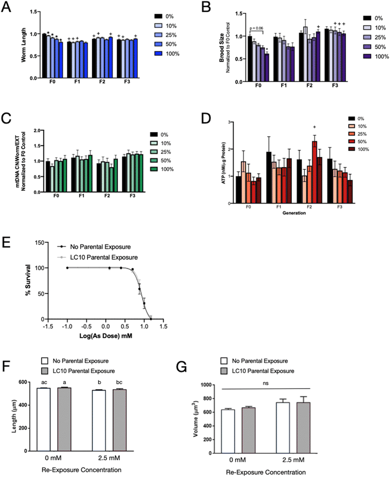image file: d5em00655d-f2.tif