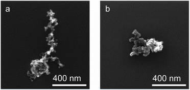 image file: d5em00761e-f4.tif