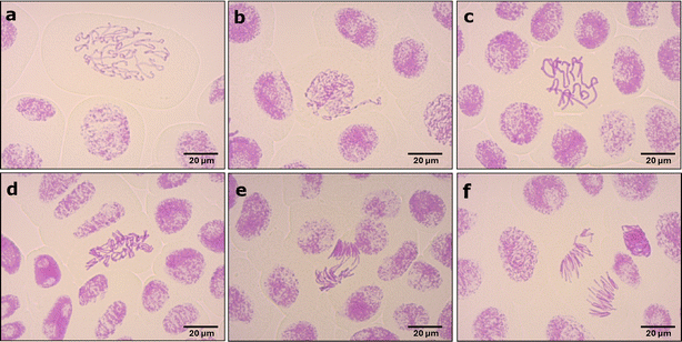 image file: d5em01010a-f8.tif