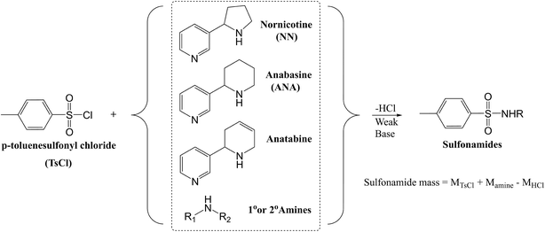 image file: d5em01030f-f1.tif
