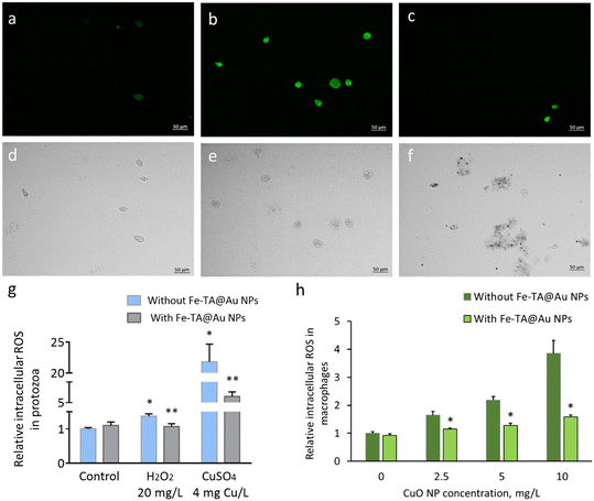 image file: d5en00428d-f6.tif
