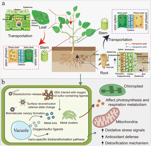 image file: d5en00548e-f1.tif