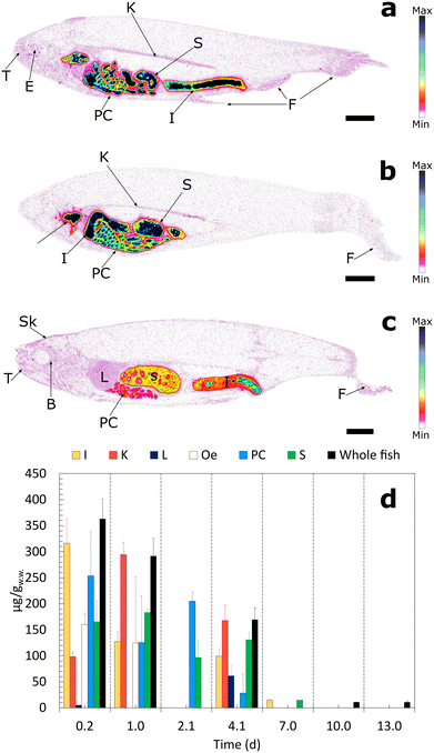 image file: d5en00985e-f3.tif