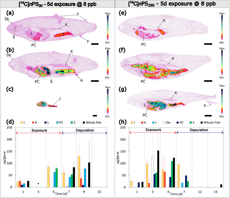 image file: d5en00985e-f4.tif
