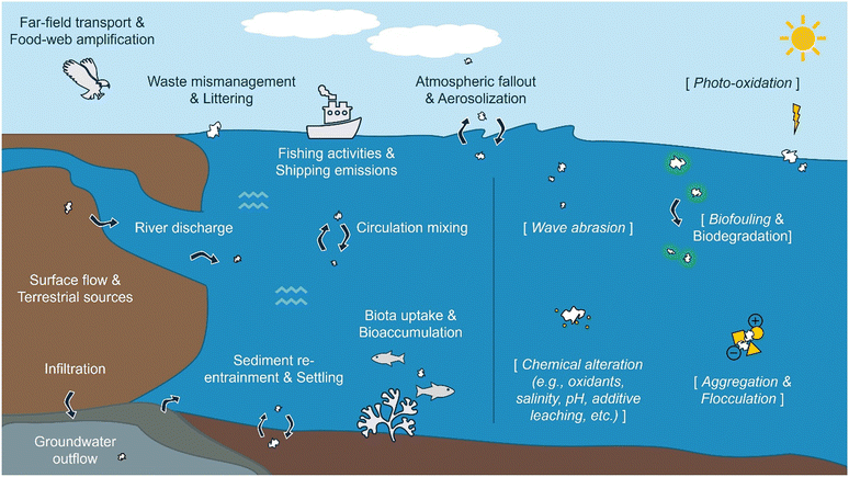 image file: d5en01084e-f1.tif