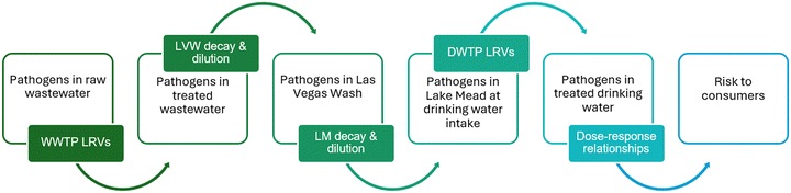 image file: d5ew00514k-f1.tif