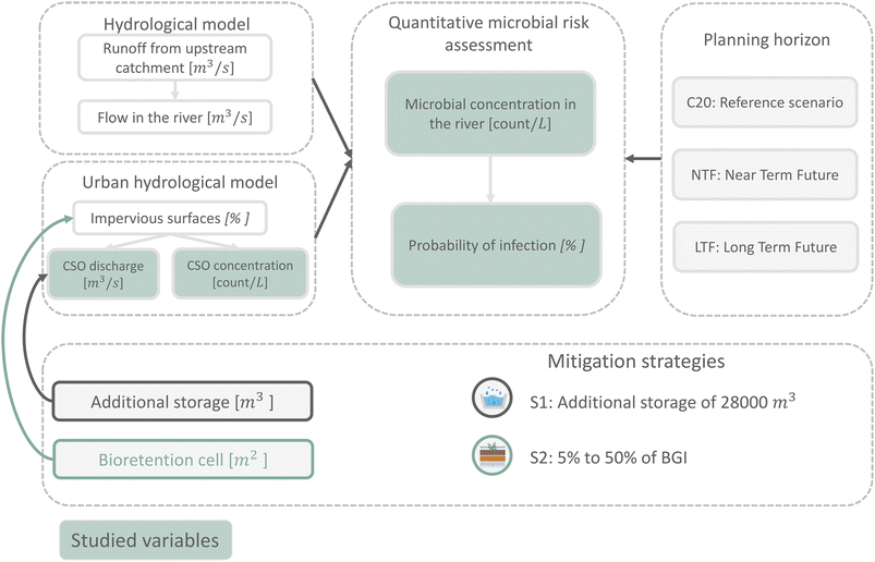image file: d5ew00706b-f1.tif