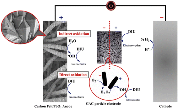 image file: d5ew00809c-f2.tif