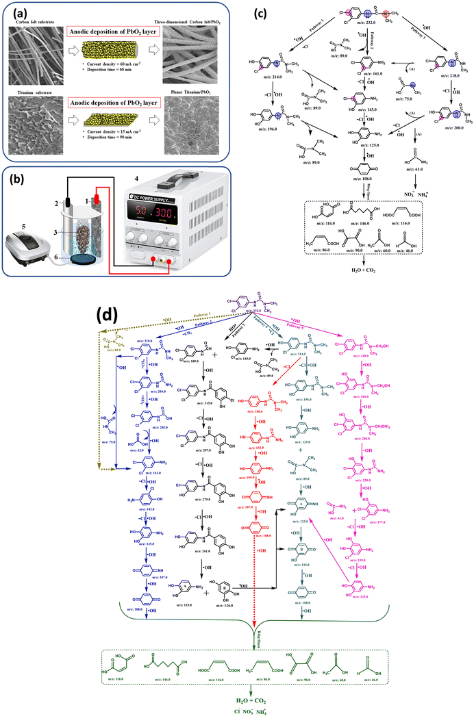 image file: d5ew00809c-f3.tif